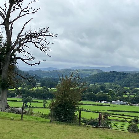Hares Hideaway At Coed Moelfa Bed & Breakfast Corwen Exterior foto