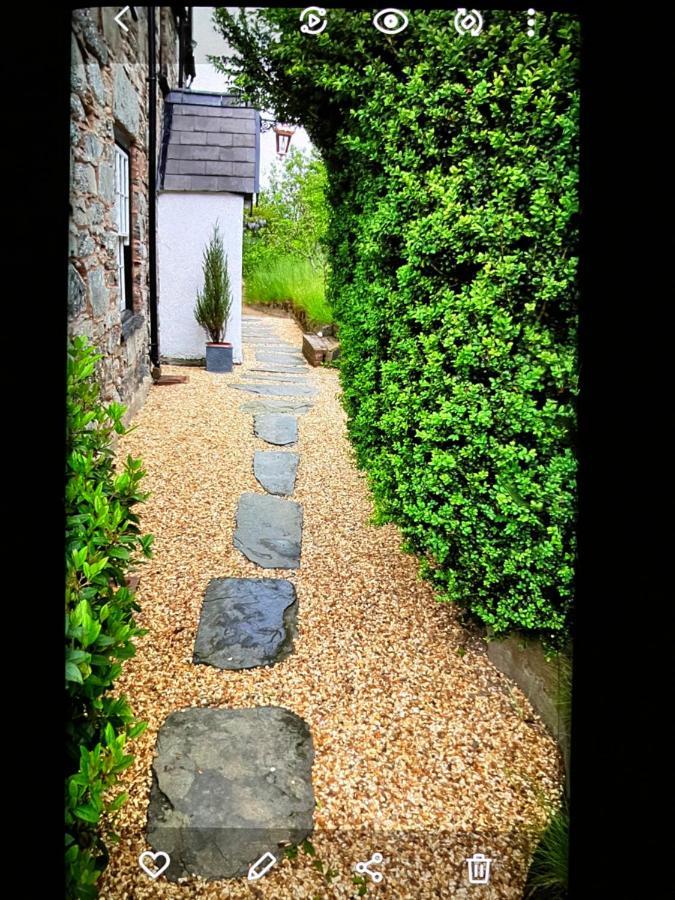 Hares Hideaway At Coed Moelfa Bed & Breakfast Corwen Exterior foto
