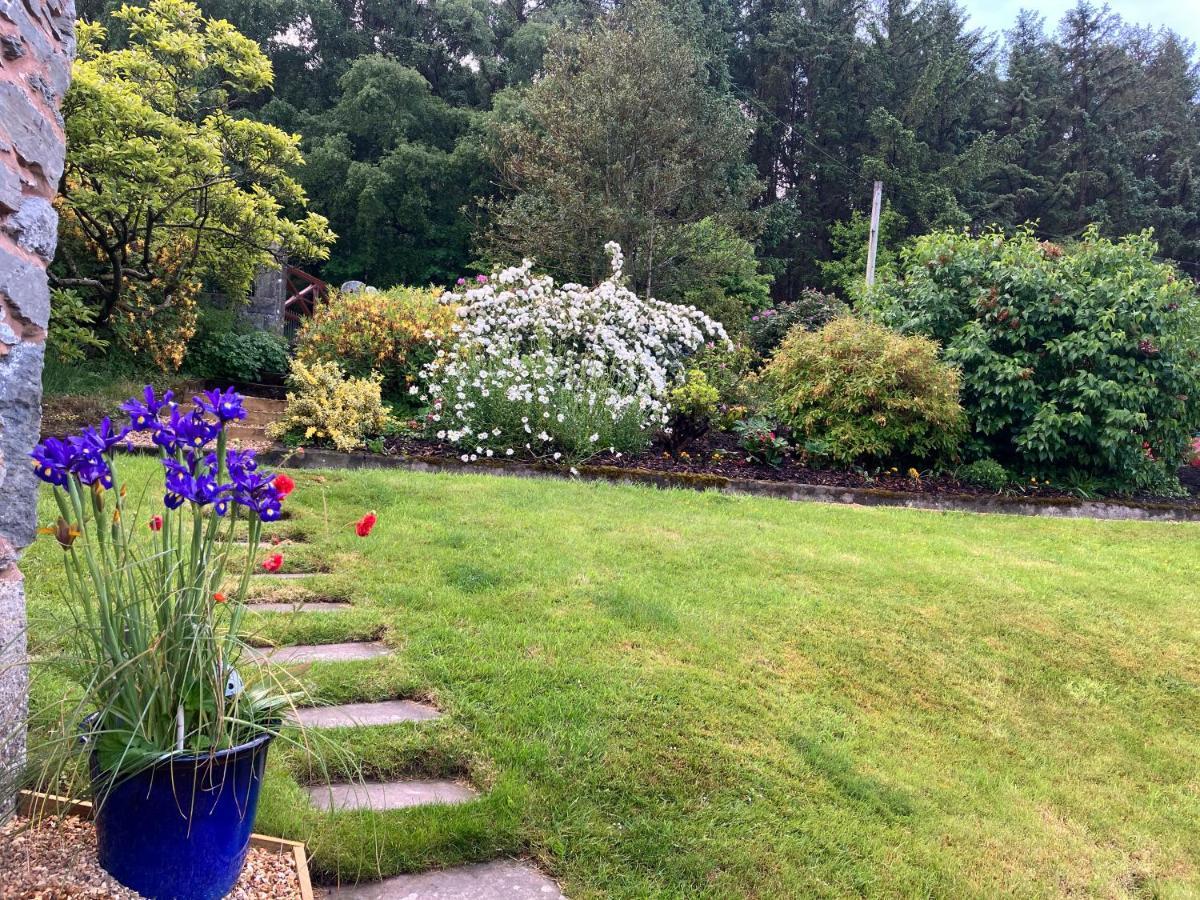 Hares Hideaway At Coed Moelfa Bed & Breakfast Corwen Exterior foto
