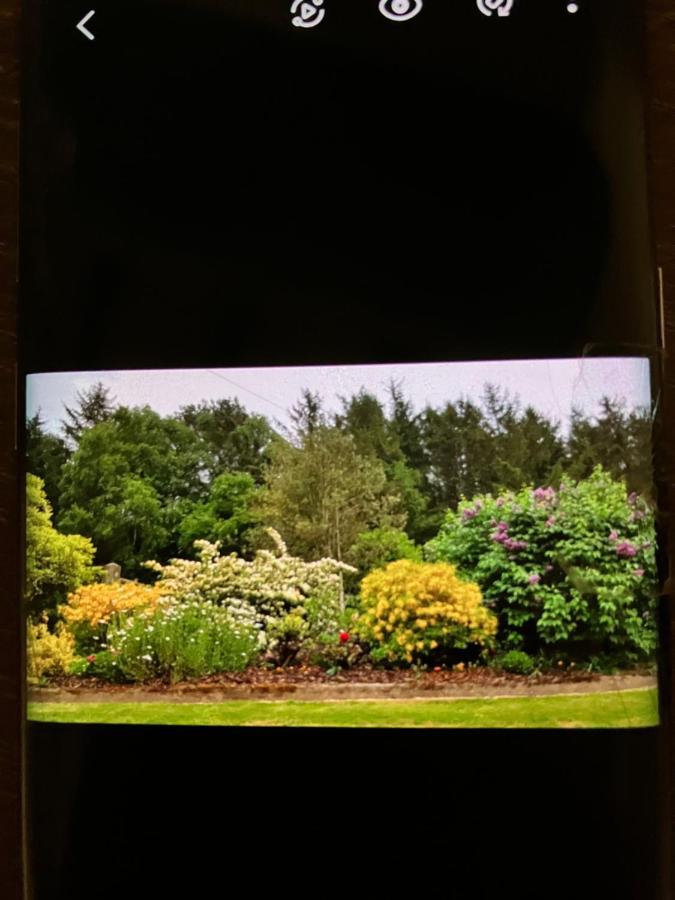Hares Hideaway At Coed Moelfa Bed & Breakfast Corwen Exterior foto